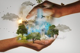 Analysis of the impact of investment on the environment